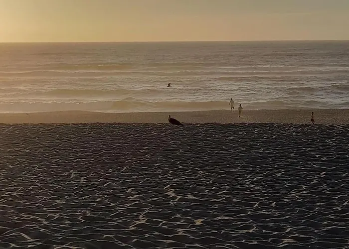 Casa Dos Peixes, Um Refugio A Beira Mar