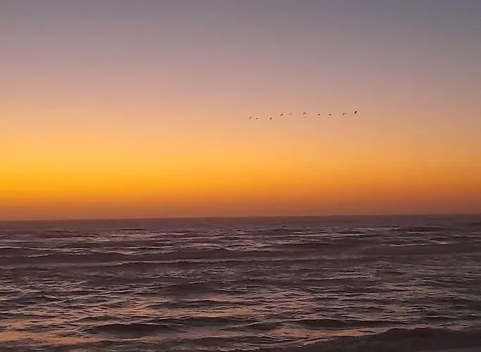 Appartement Casa Dos Peixes, Um Refugio A Beira Mar *